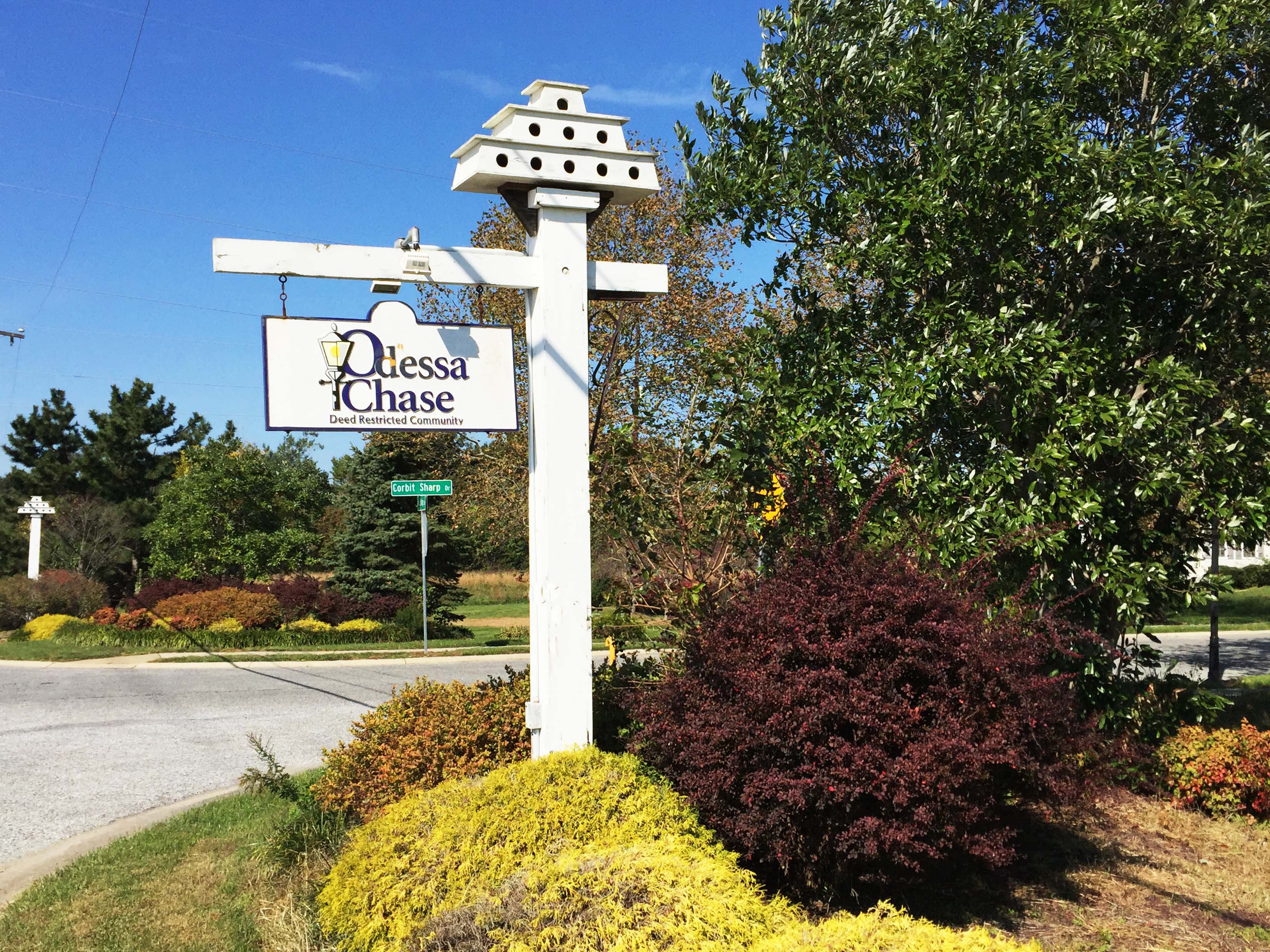 Odessa Chase Homes for Sale Team O'Donnell