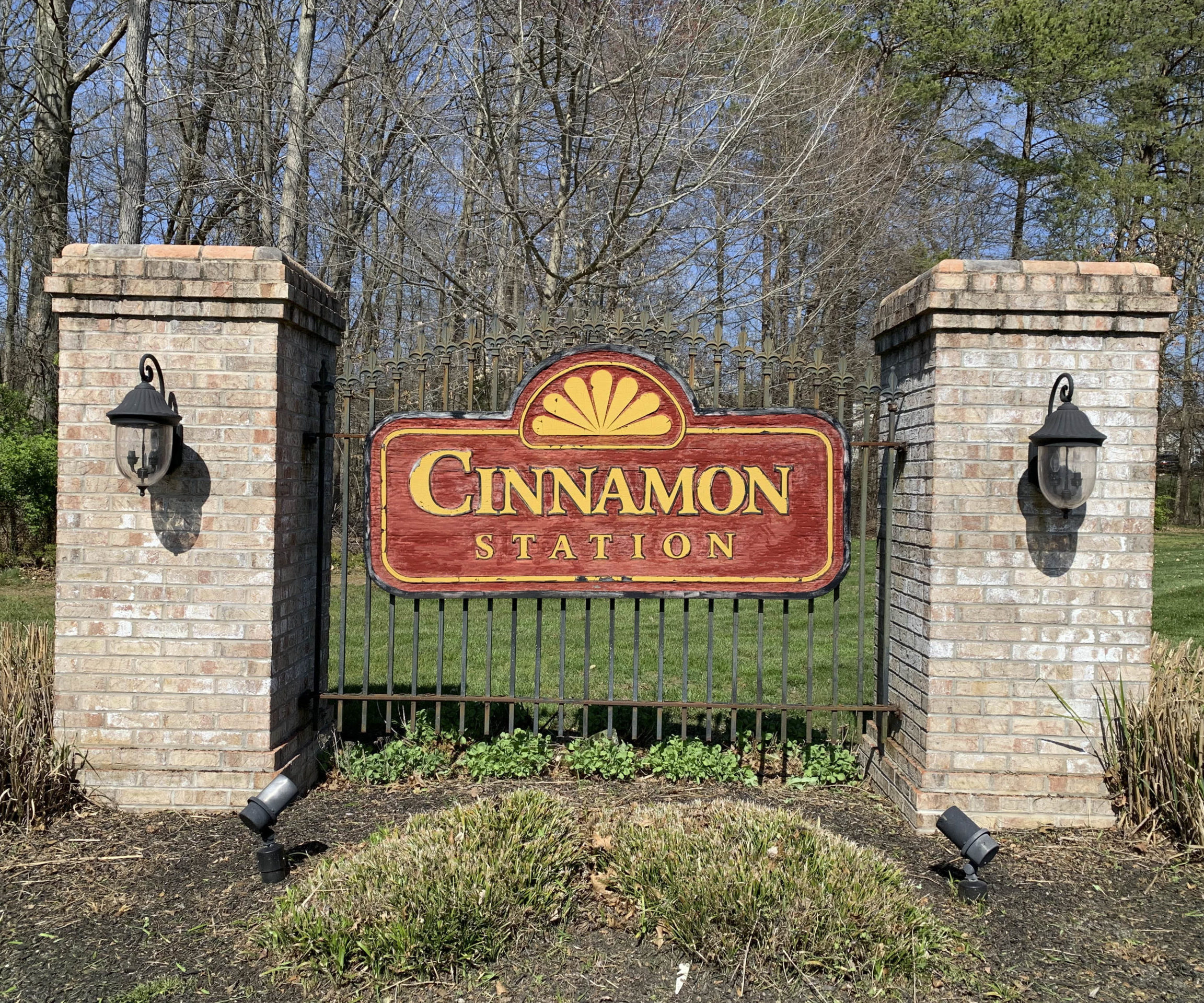 Cinnamon Station Homes for Sale - Team O'Donnell