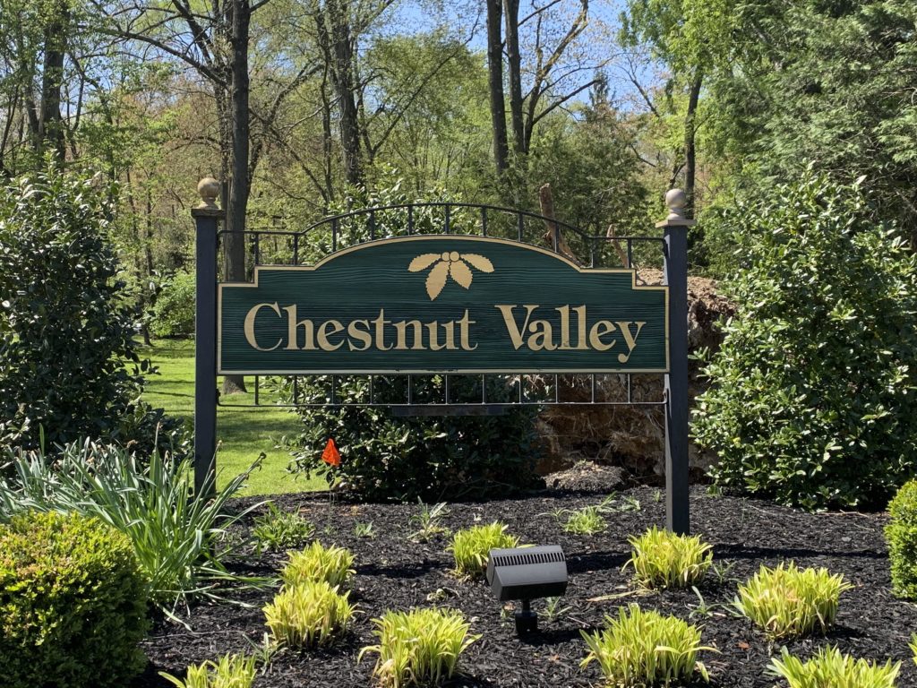 Chestnut Valley Homes For Sale - Team O'donnell