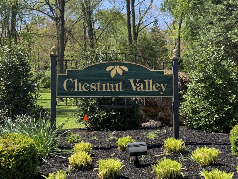 Chestnut Valley Homes for Sale Team O'Donnell