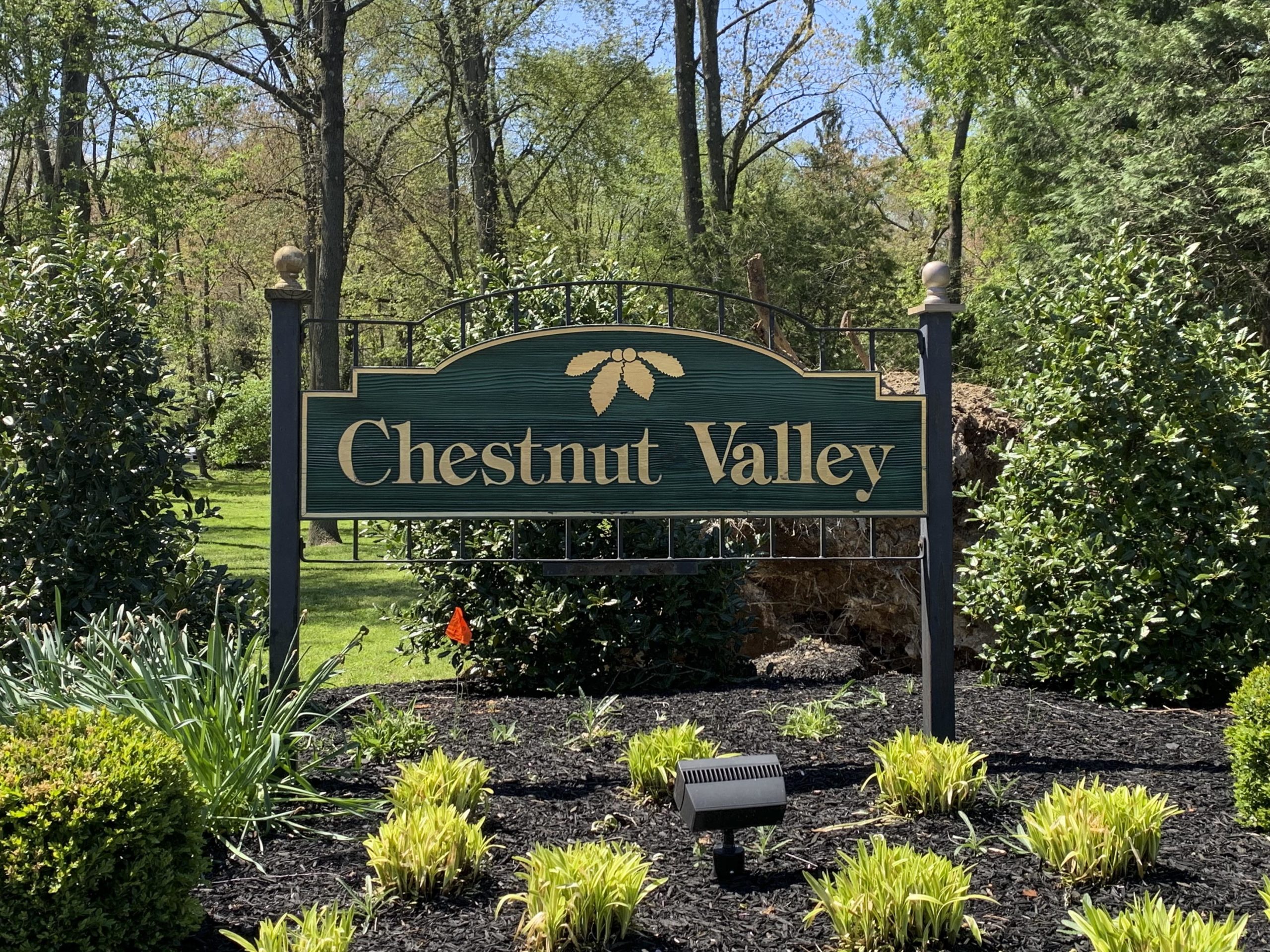 Chestnut Valley Entry Sign